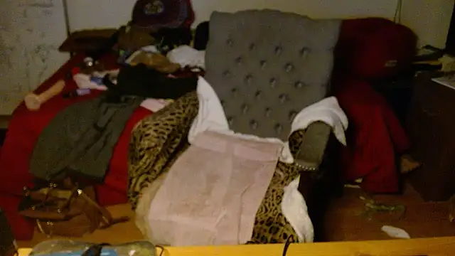 Transjoni online show from January 2026 09:48:01 AM