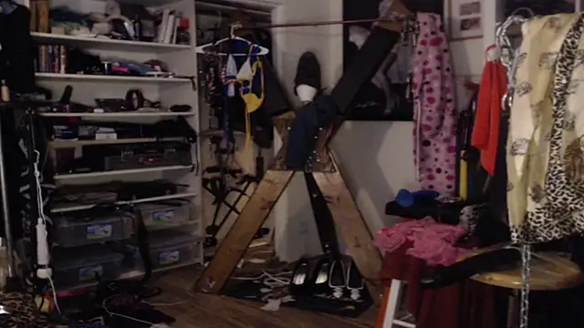 Transjoni online show from March 2026 02:11:03 PM