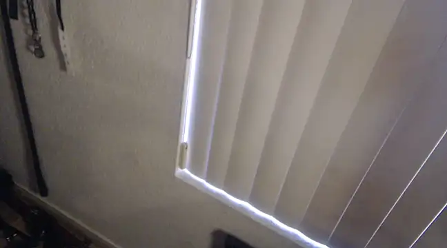 Transjoni online show from February 2025 08:22:01 PM