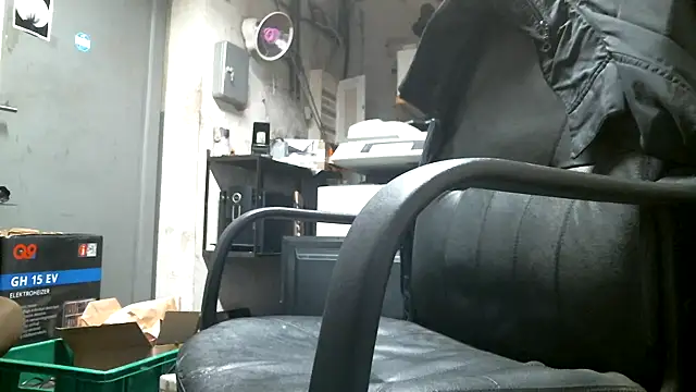 HaraldGermany online show from January 2025 03:51:02 PM