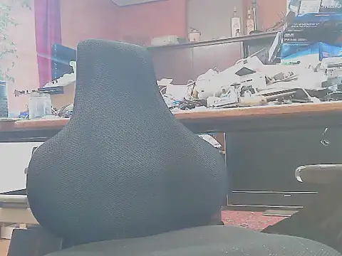 HaraldGermany online show from March 2025 03:05:02 PM