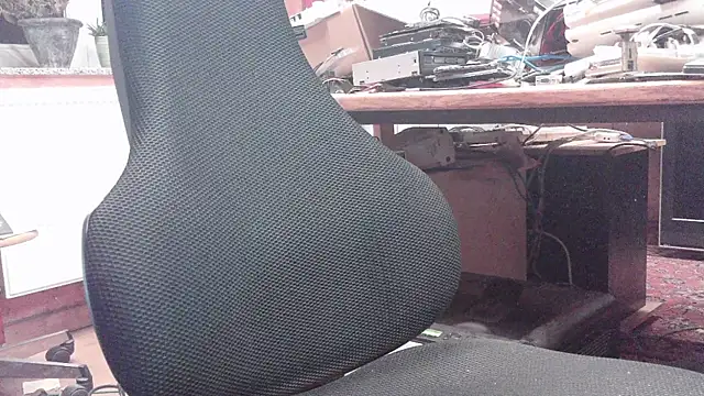 HaraldGermany online show from October 2025 05:25:02 PM