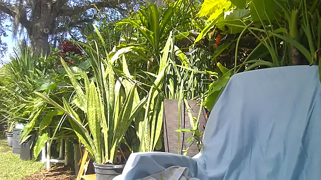 eliberator1777 online show from May 2026 07:57:01 PM