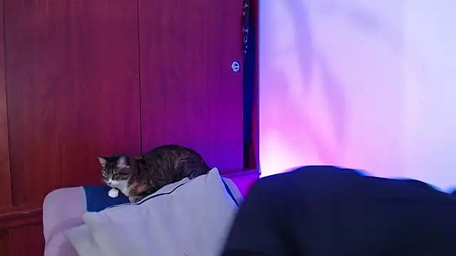 Raventh  online show from March 2026 12:00:02 PM