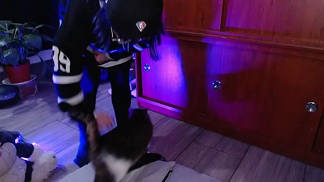 Raventh  online show from February 2026 03:56:01 AM