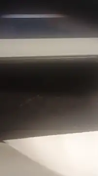 69RIPsta69 online show from March 2026 10:54:02 AM