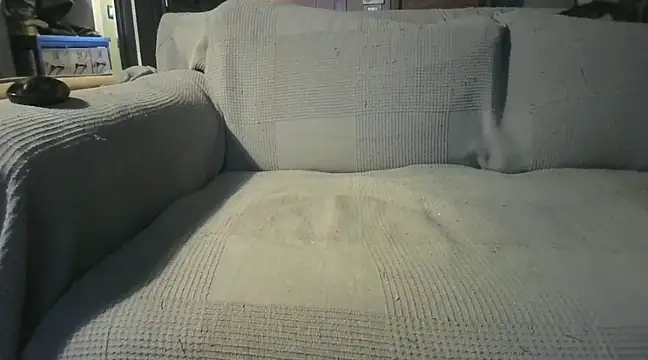 Snapshot of naked_bear chatting on December 2024 07:29:02 PM naked bear online show from December 2024 07:29:02 PM