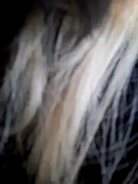 Dirtyfeelin online show from December 2025 12:00:01 PM