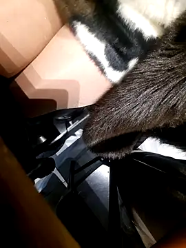 Dirtyfeelin online show from November 2025 02:42:01 PM