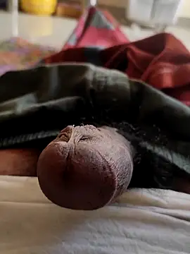 Snapshot of Hausa_44 chatting on November 2025 02:36:02 AM Hausa 44 online show from November 2025 02:36:02 AM