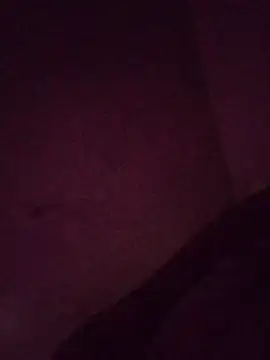 Indianbloom- online show from February 2026 02:28:01 PM