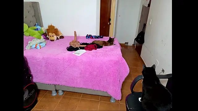 emily honter online show from December 2025 08:47:01 PM