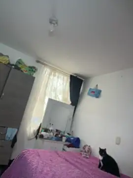 emily honter online show from July 2026 07:09:01 PM