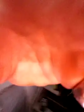 justinewe69 online show from February 2026 08:14:02 AM