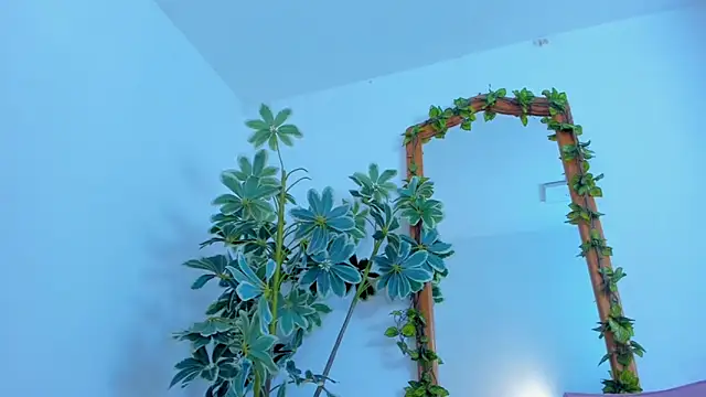 NinaWong online show from February 2026 07:03:01 PM