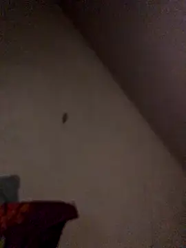 Chris-LE91 online show from September 2025 01:11:01 AM