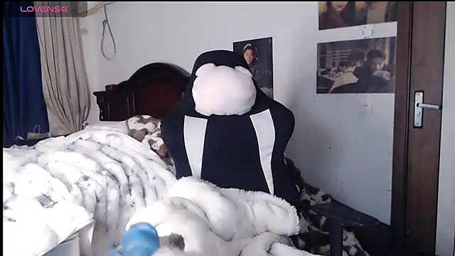 candy cola online show from November 2025 11:14:01 AM