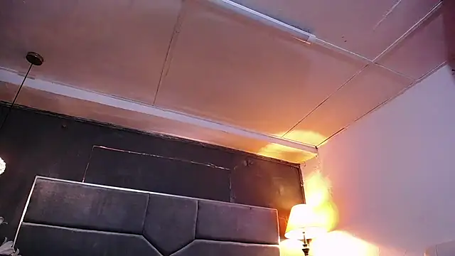 teddyfit19cm online show from March 2026 01:04:02 PM