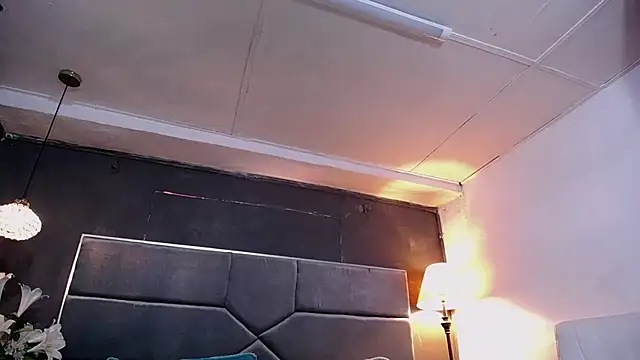 teddyfit19cm online show from January 2026 12:56:02 PM