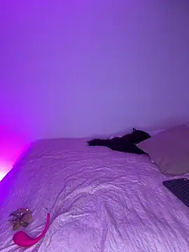 Veronica ar online show from April 2026 02:40:01 AM