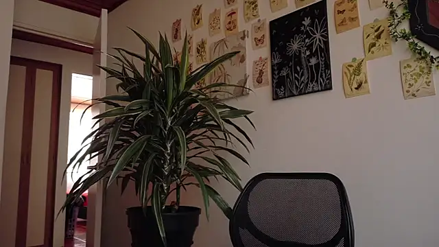 kinky rider online show from March 2026 10:33:02 PM