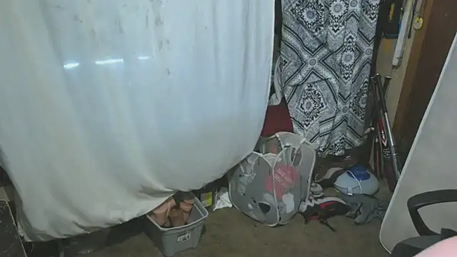 sex4fun 21 online show from April 2026 11:11:01 PM