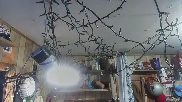 Snapshot of sex4fun_21 chatting on February 2025 08:54:02 AM sex4fun 21 online show from February 2025 08:54:02 AM