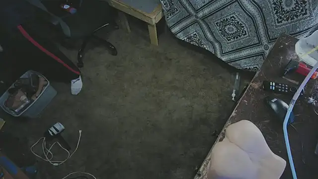 sex4fun 21 online show from November 2025 05:56:02 AM