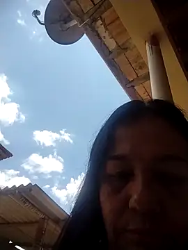 catdool online show from November 2025 02:29:01 PM