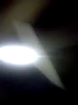 catdool online show from January 2026 12:15:02 AM