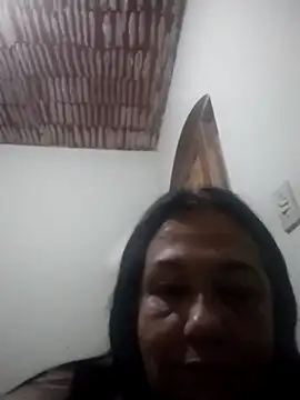 catdool online show from November 2025 11:27:01 PM