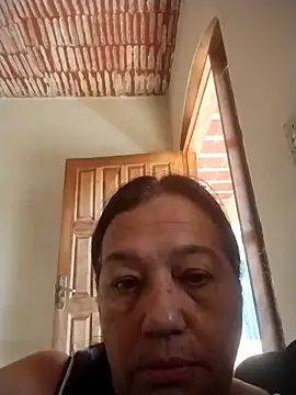 catdool online show from April 2026 02:46:01 PM