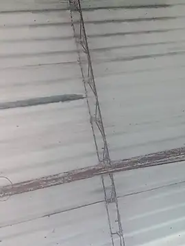 jonnygomez online show from January 2026 11:35:02 AM