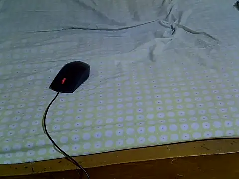 Snapshot of EbonyMina_ chatting on April 2026 01:40:03 PM EbonyMina online show from April 2026 01:40:03 PM