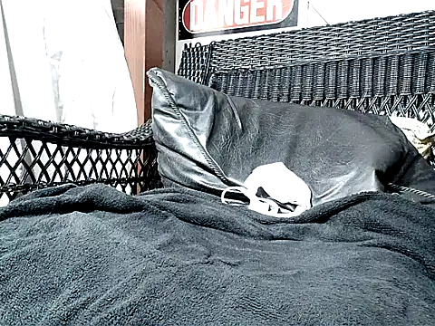 Snapshot of HungHawaiian808@xh chatting on November 2025 04:50:01 AM HungHawaiian808xh online show from November 2025 04:50:01 AM