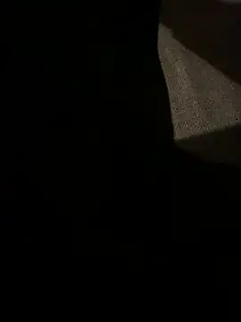 Snapshot of stevesaa chatting on December 2025 06:14:02 PM stevesaa online show from December 2025 06:14:02 PM