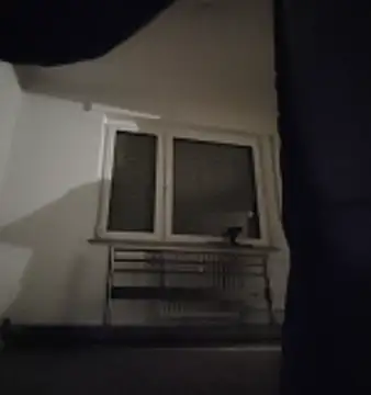 GermanBigDream online show from February 2026 07:30:02 PM