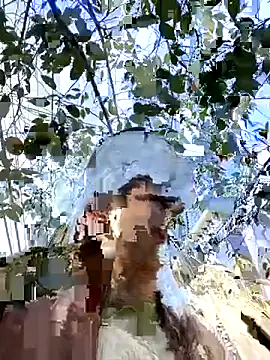 everybody loves pussy online show from October 2025 02:31:02 PM