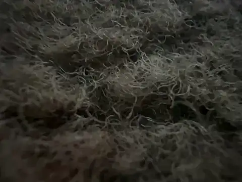 Exclusivenutxxx online show from February 2025 05:12:02 AM