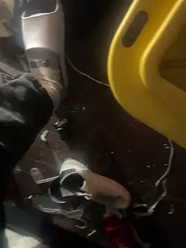 Exclusivenutxxx online show from January 2025 06:56:01 PM