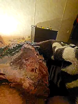 Advocate 420 online show from December 2025 06:47:02 AM