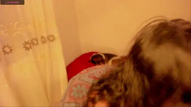 aluna 0310 online show from January 2025 11:59:02 PM