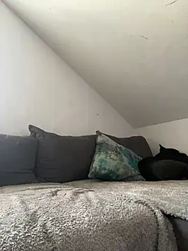 Snapshot of Vlad200472 chatting on February 2025 10:39:01 AM Vlad200472 online show from February 2025 10:39:01 AM