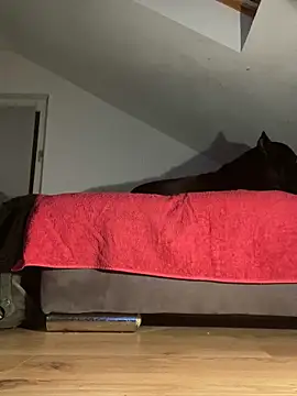 Snapshot of Vlad200472 chatting on December 2024 06:52:02 PM Vlad200472 online show from December 2024 06:52:02 PM