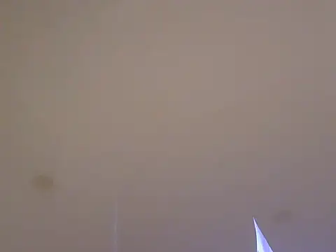 LionEdwin online show from April 2026 10:39:01 AM