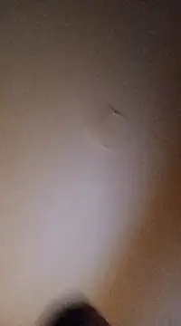 Snapshot of BunnyandClydeDk chatting on March 2025 03:44:01 AM BunnyandClydeDk online show from March 2025 03:44:01 AM