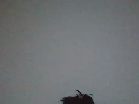 FallenDevil online show from May 2026 07:58:02 PM