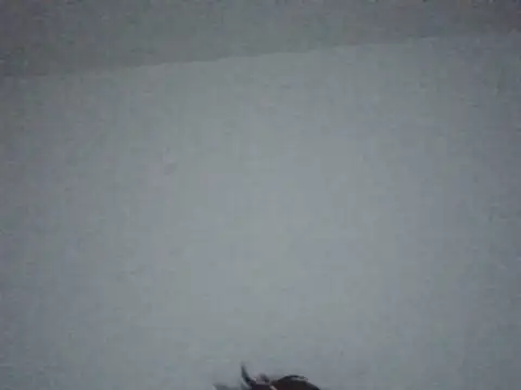 FallenDevil online show from July 2026 07:31:01 PM