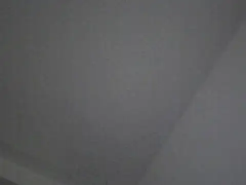 Snapshot of FallenDevil chatting on October 2025 06:07:01 PM FallenDevil online show from October 2025 06:07:01 PM