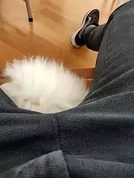 papiculo86 online show from February 2025 09:07:02 AM